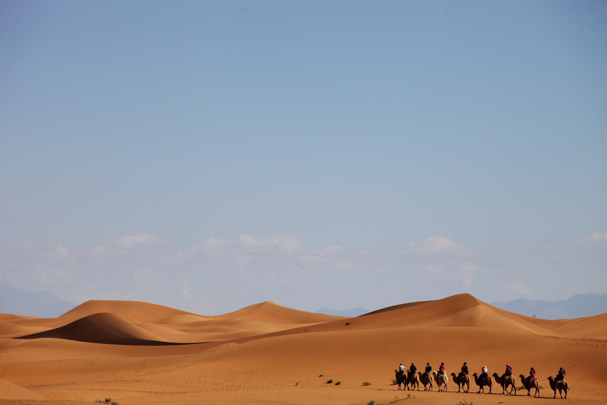 Endless rolling sand dunes glowing beneath a calm desert sky.