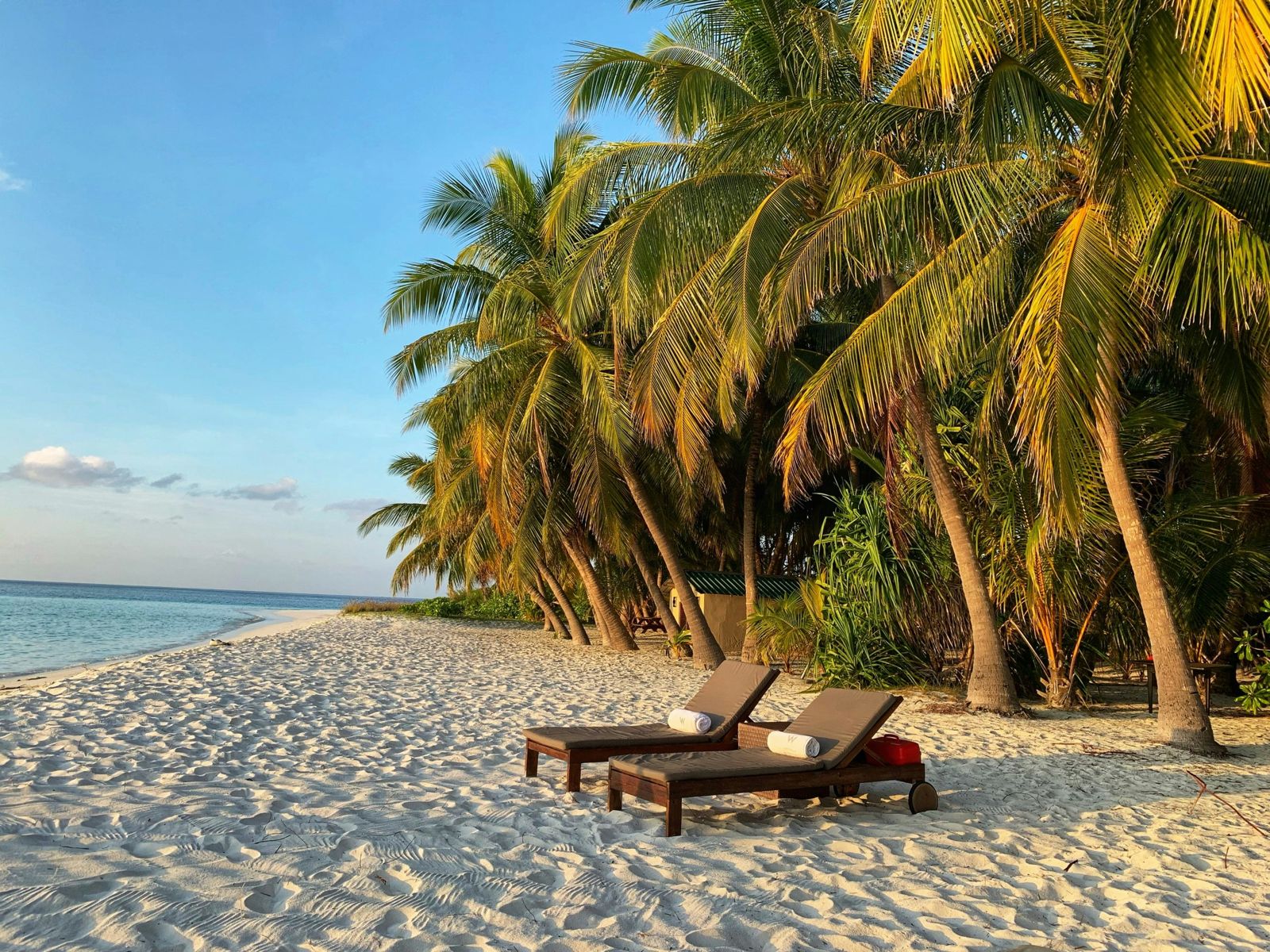 Soft golden sand framed by swaying palm silhouettes in glowing tropical light.
